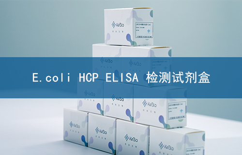 E.coli HCP ELISA 检测试剂盒